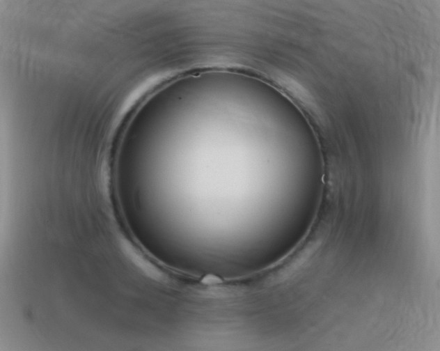 X0000115500942200911061324