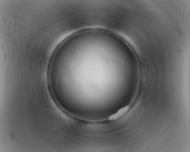 X0000115500943200911061324