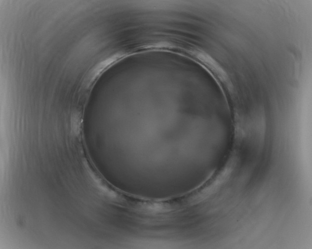 X0000115500945200911061325