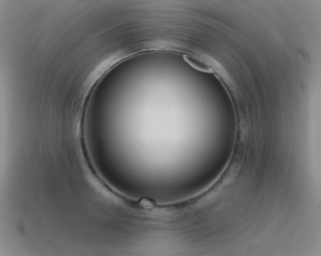 X0000115500946200911061325