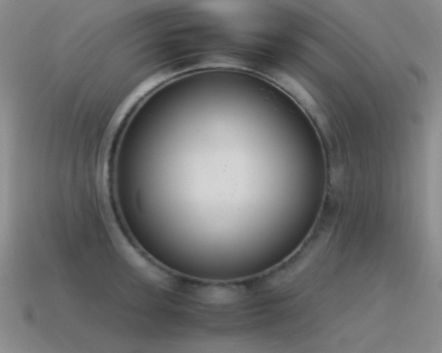 X0000115500947200911061325