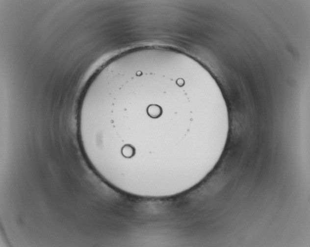 X0000115500950200911061325