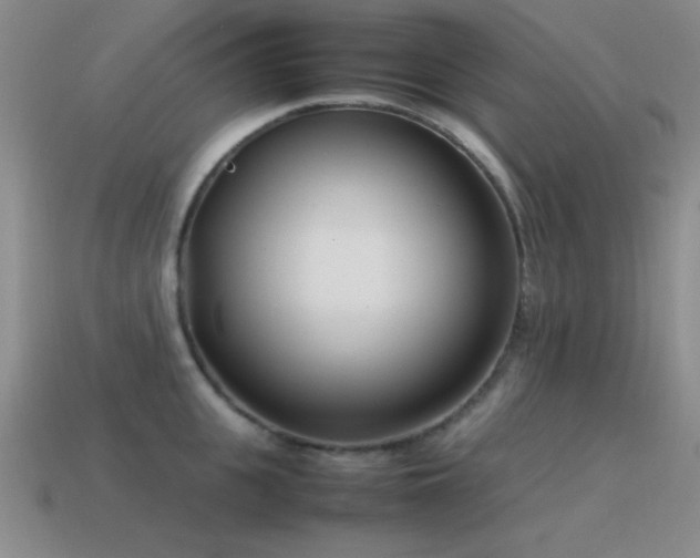 X0000115500951200911061325