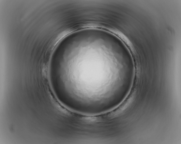 X0000115500953200911061325