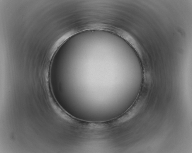 X0000115500954200911061325