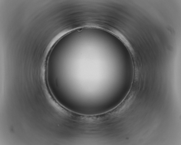 X0000115500955200911061325