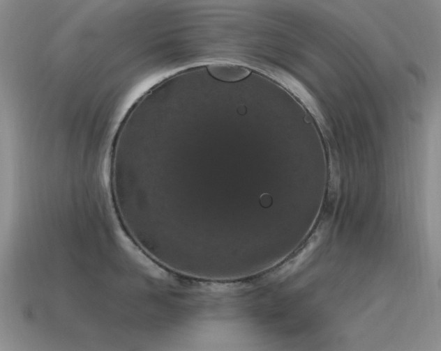 X0000115500958200911061325