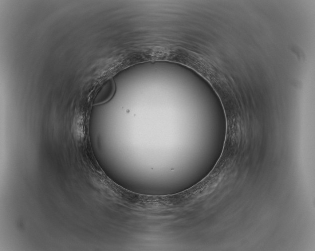 X0000115500962200911061324