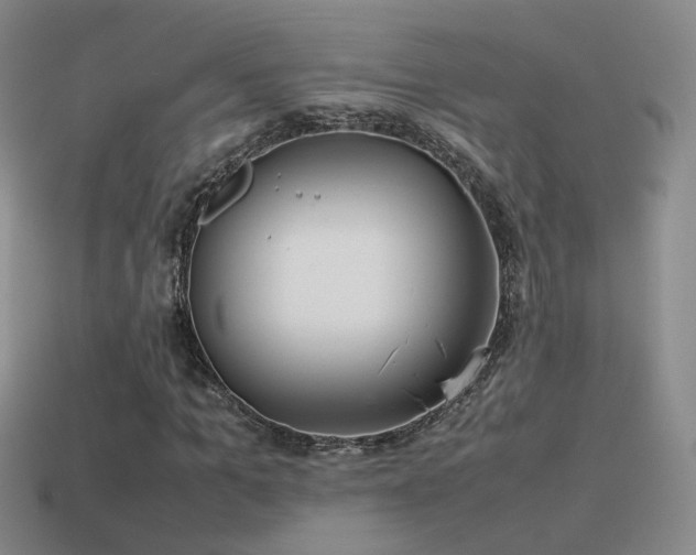 X0000115500965200911061324
