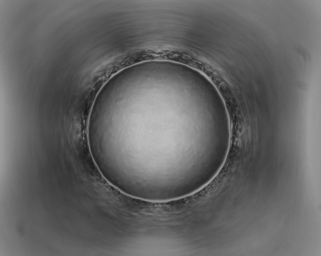 X0000115500966200911061324