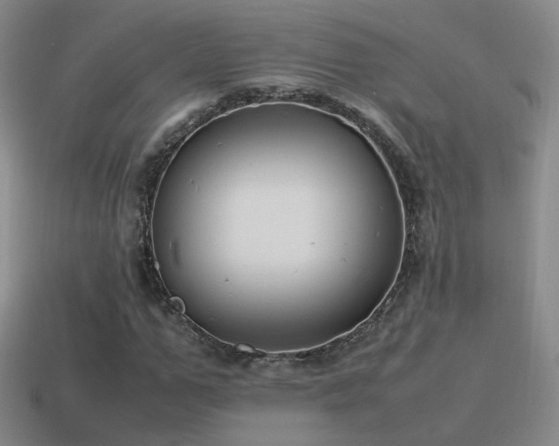 X0000115500967200911061324