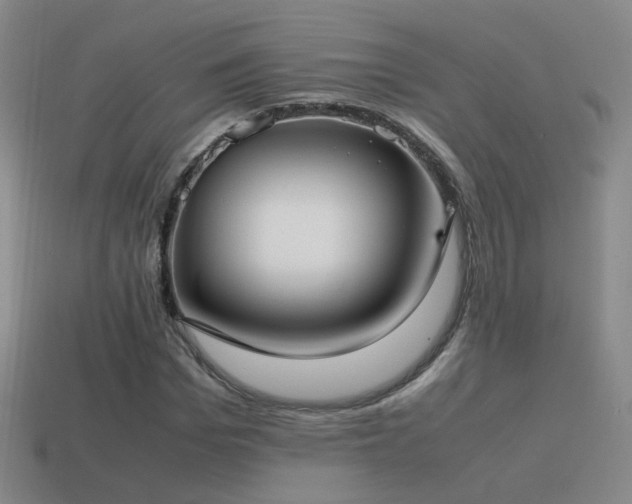 X0000115500969200911061324