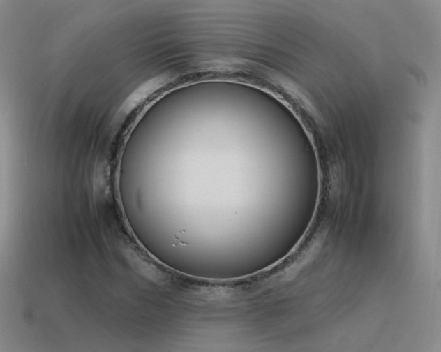 X0000115500970200911061324