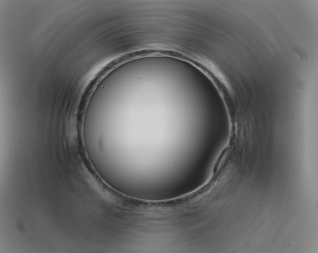 X0000115500972200911061324