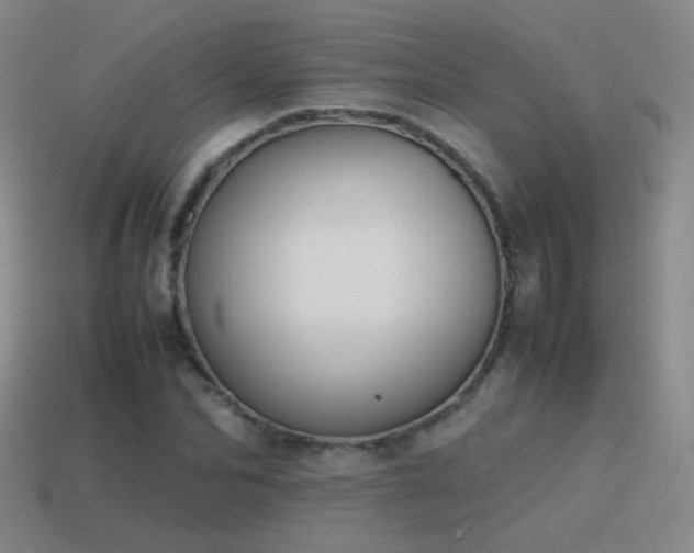 X0000115500974200911061324