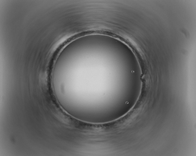 X0000115500975200911061324