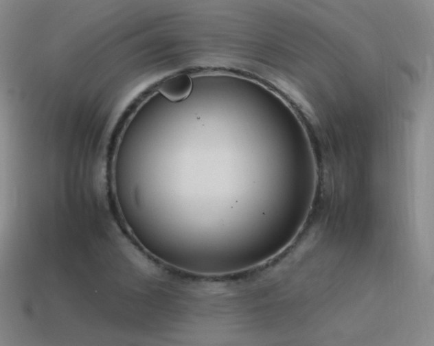 X0000115500976200911061324