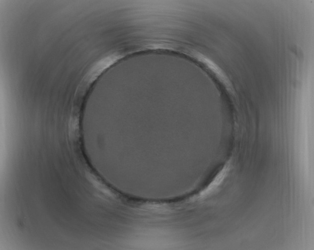 X0000115500977200911061324
