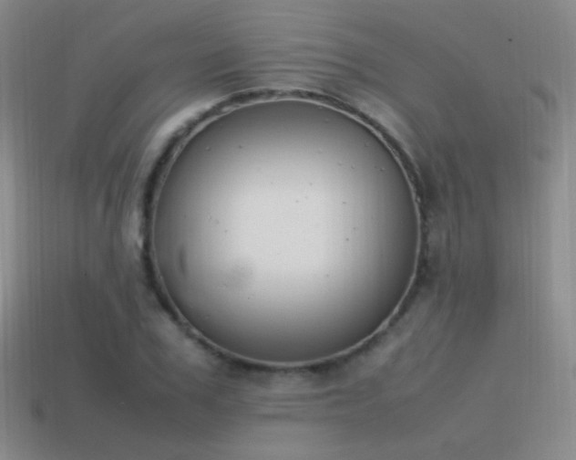 X0000115500979200911061324