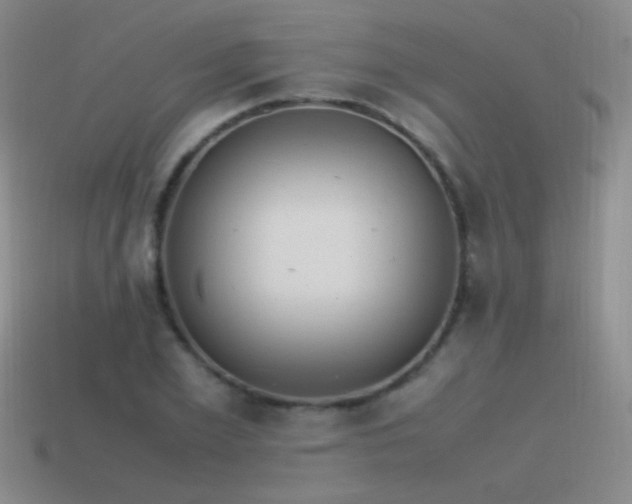 X0000115500981200911061324