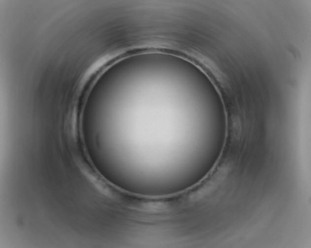 X0000115500982200911061324