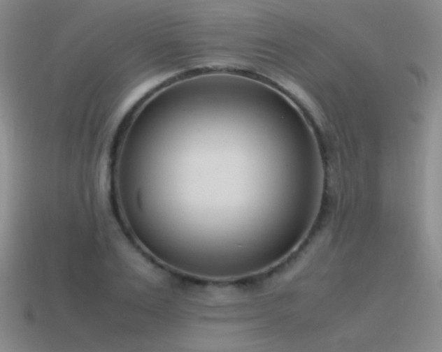 X0000115500983200911061324