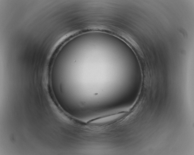 X0000115500984200911061324