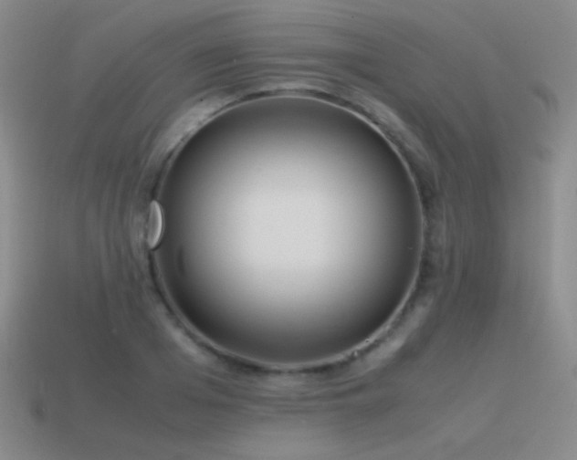 X0000115500985200911061324