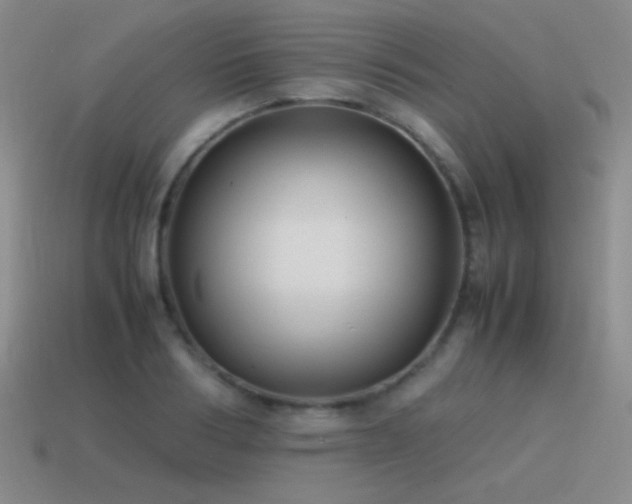 X0000115500986200911061324