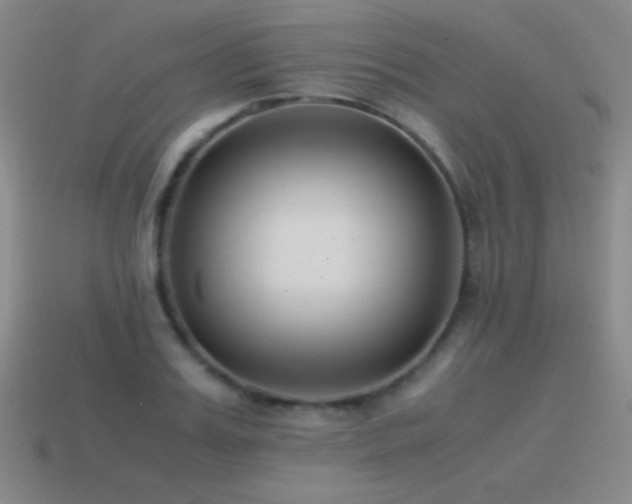 X0000115500987200911061324