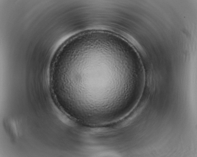X0000115500988200911061324