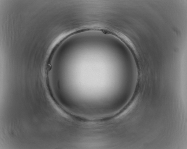 X0000115500989200911061324