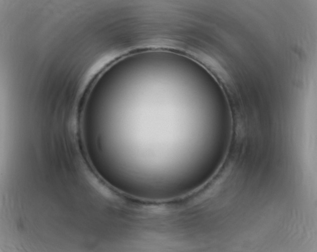 X0000115500990200911061324