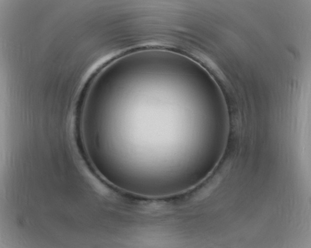 X0000115500991200911061324