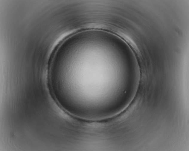 X0000115500992200911061324