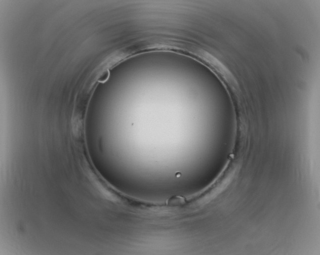 X0000115500993200911061324