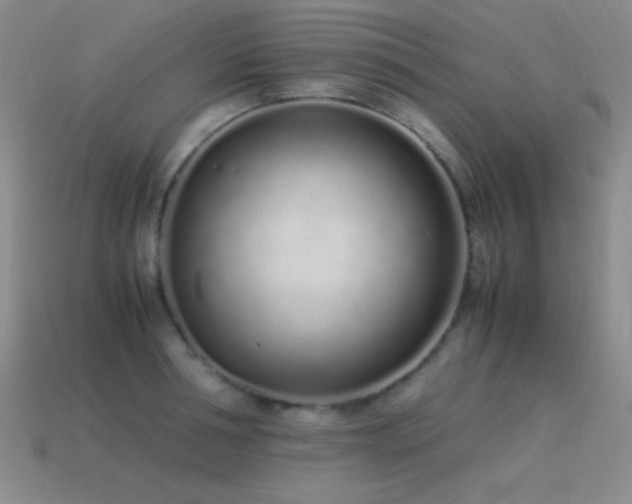 X0000115500994200911061324