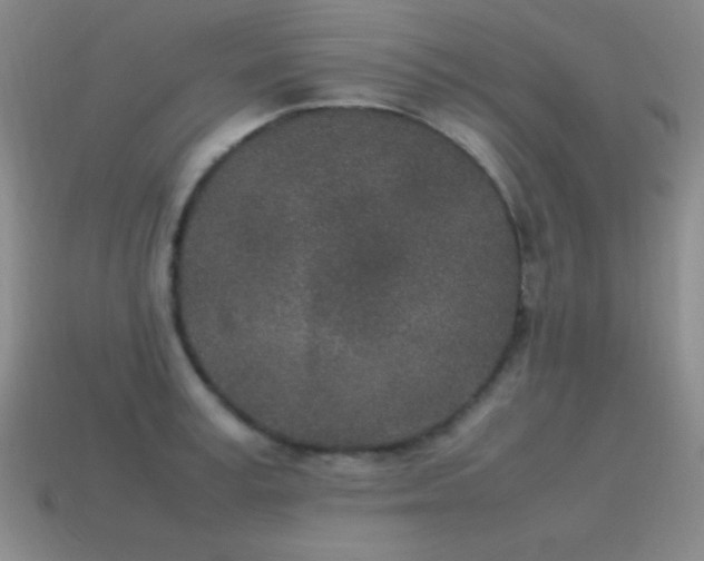 X0000115500995200911061324