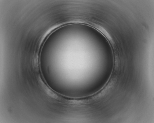 X0000115500996200911061324