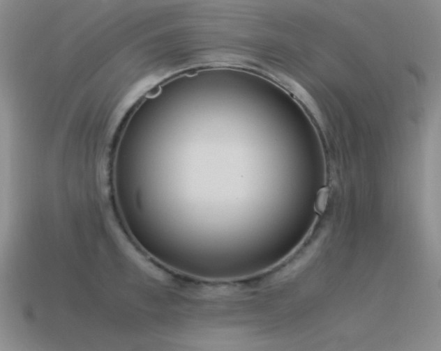 X0000115500997200911061324