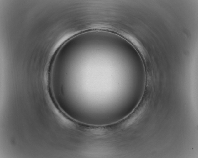 X0000115500999200911061324
