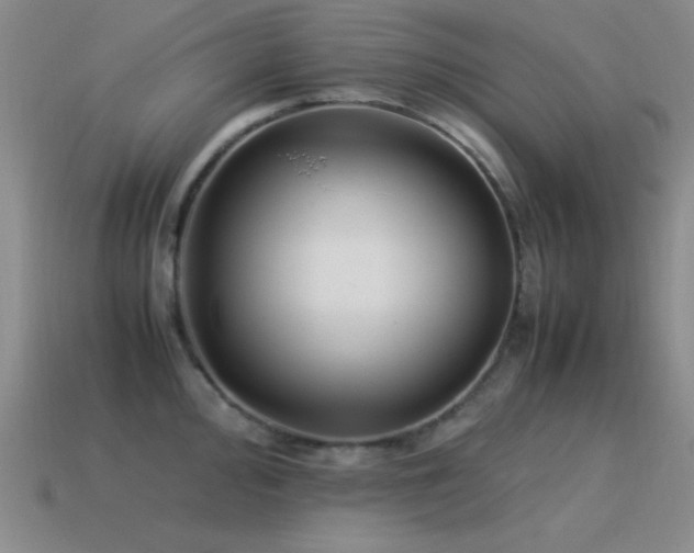 X0000115501000200911061324