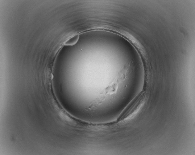 X0000115501001200911061324