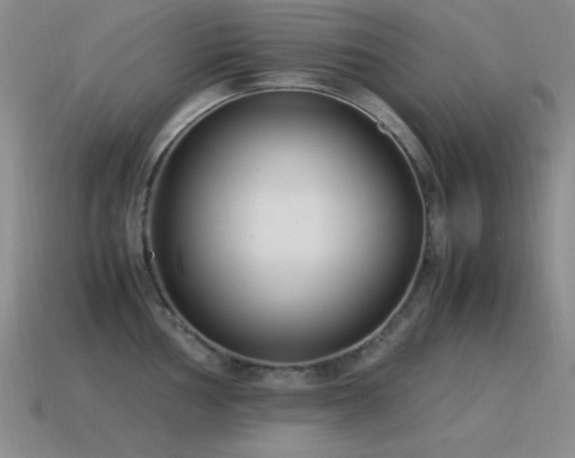 X0000115501002200911061324