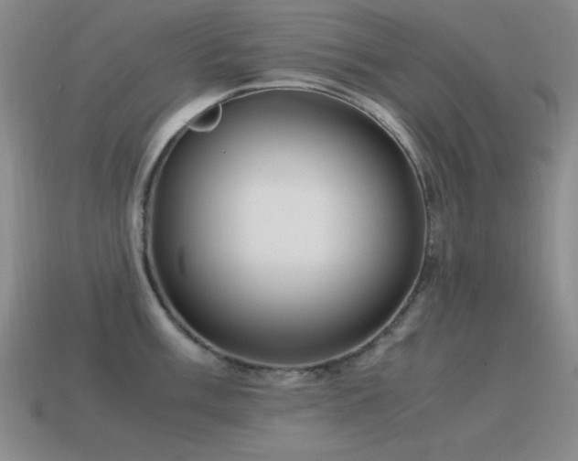 X0000115501003200911061324