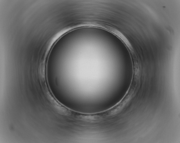 X0000115501004200911061324
