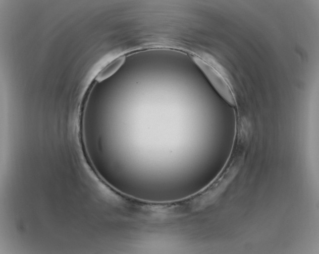 X0000115501005200911061324