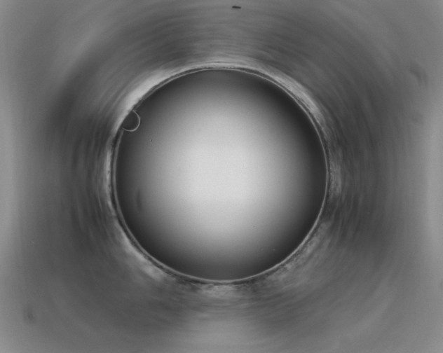 X0000115501006200911061324