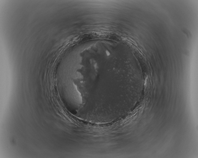 X0000115501009200911061323