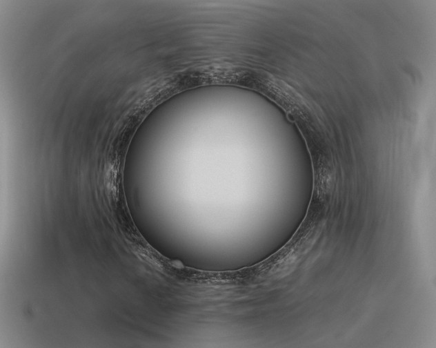 X0000115501010200911061323